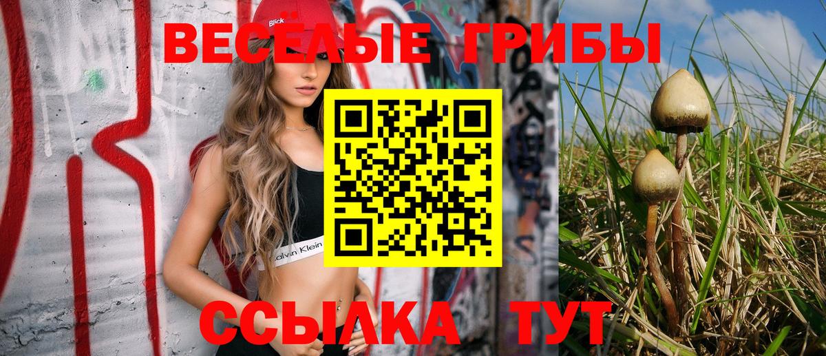где можно купить   Вход с VPN  Назарово  Псилоцибиновые грибы ЛСД 